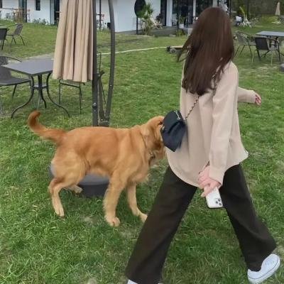 六连煞